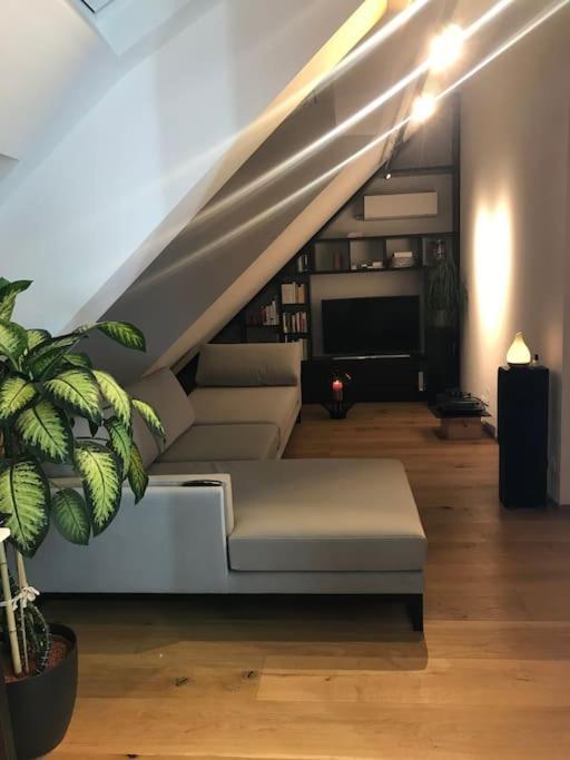 Grosszuegiges Dachterrassen-appartment Mit Klimaanlage Und Wunderbarem Ausblick * Wien